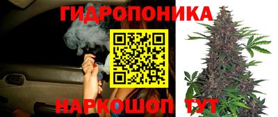 прущая мука Бузулук