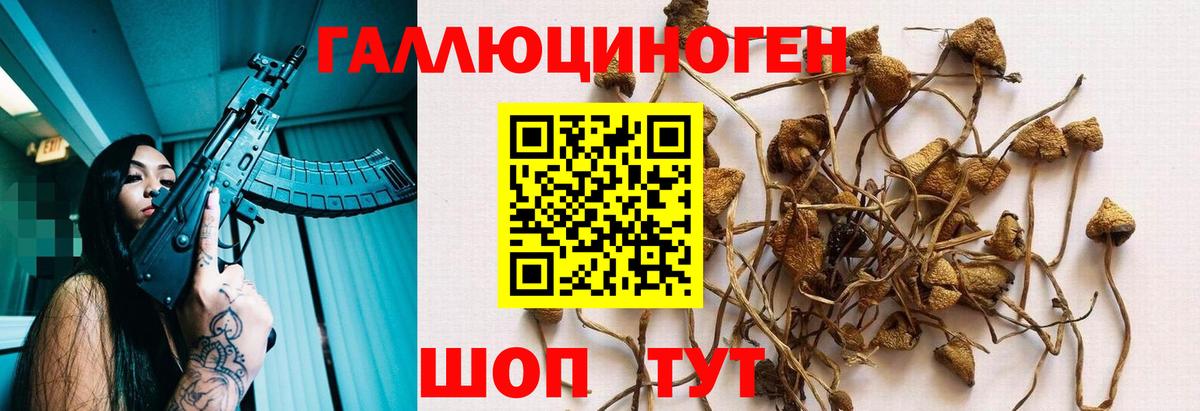 Псилоцибиновые грибы Psilocybe  Галлюциногенные грибы мухоморы  Вход с VPN  Наро-Фоминск 