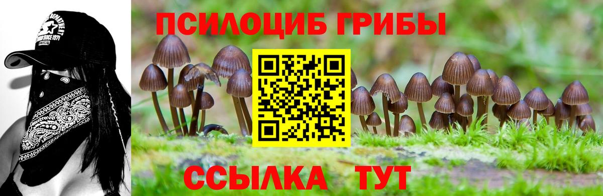 Галлюциногенные грибы MAGIC MUSHROOMS Наро-Фоминск